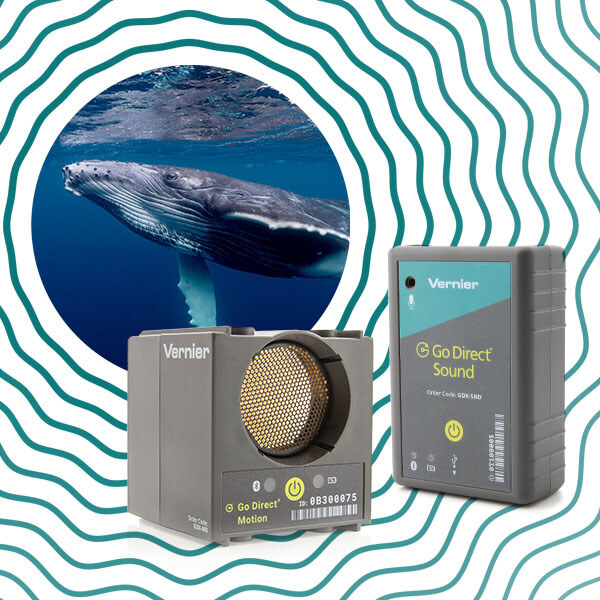 2024-12-webinar-animal-acoustics_gdx-snd_gdx-md_600x600
