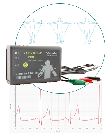 Experiement EKG