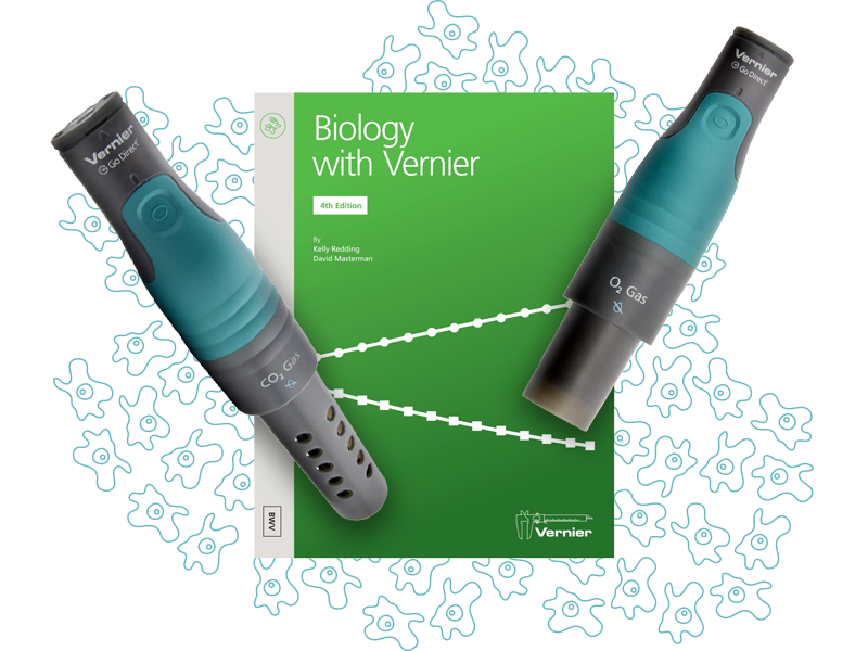 Give Students Tools to Visualize Photosynthesis and Cell Respiration